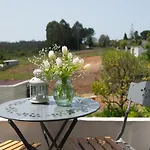 Casa Do Carvalhal - Natureza No Centro Da Cidade منزل ريفي
