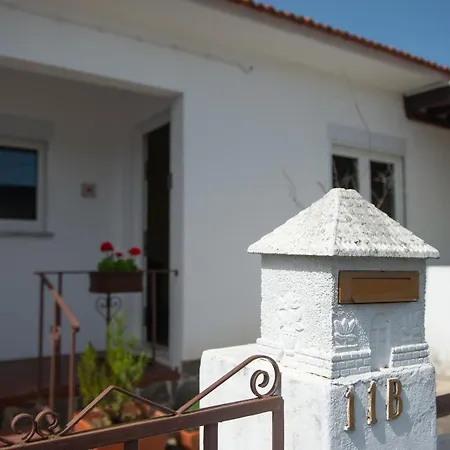 Casa Do Carvalhal - Natureza No Centro Da Cidade 산타마리아다페이라