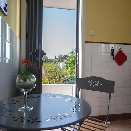 Casa Do Carvalhal - Natureza No Centro Da Cidade * 산타마리아다페이라