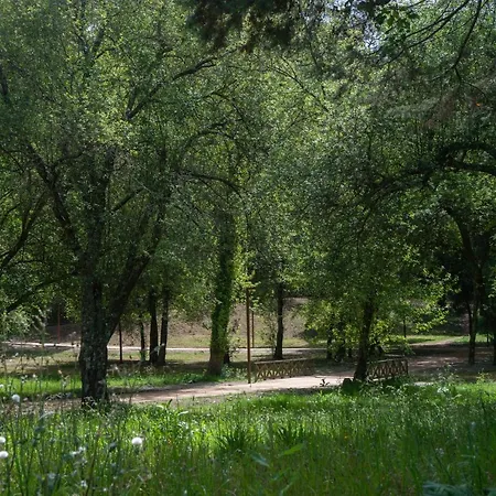 컨트리하우스 Casa Do Carvalhal - Natureza No Centro Da Cidade *