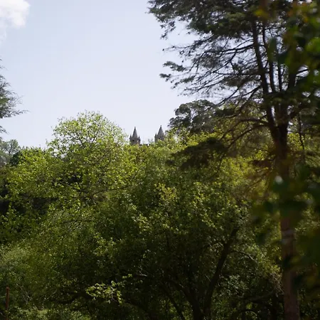 Casa Do Carvalhal - Natureza No Centro Da Cidade Country house