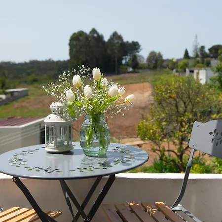 Casa Do Carvalhal - Natureza No Centro Da Cidade Country house