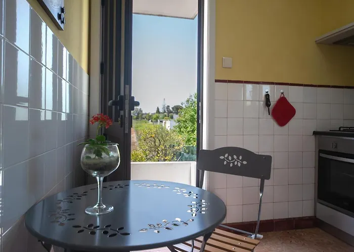 Casa Do Carvalhal - Natureza No Centro Da Cidade * Santa Maria da Feira