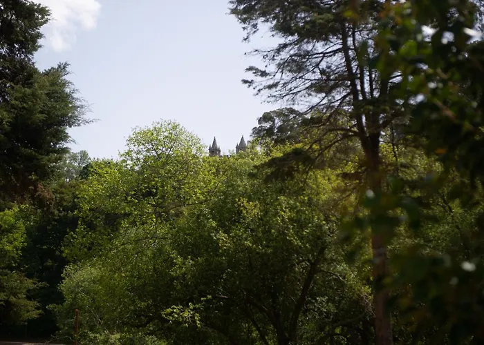 Casa Do Carvalhal - Natureza No Centro Da Cidade Casa rural