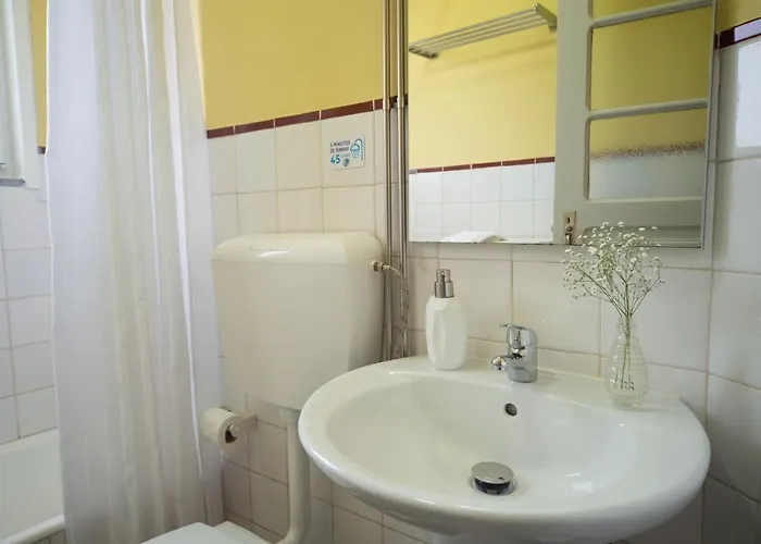 Casa de Campo Casa Do Carvalhal - Natureza No Centro Da Cidade Santa Maria da Feira