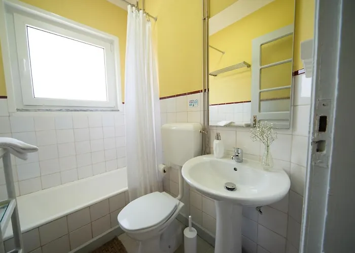 Casa de Campo Casa Do Carvalhal - Natureza No Centro Da Cidade