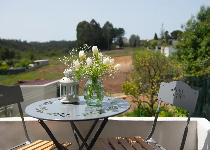 Casa Do Carvalhal - Natureza No Centro Da Cidade Casa rural