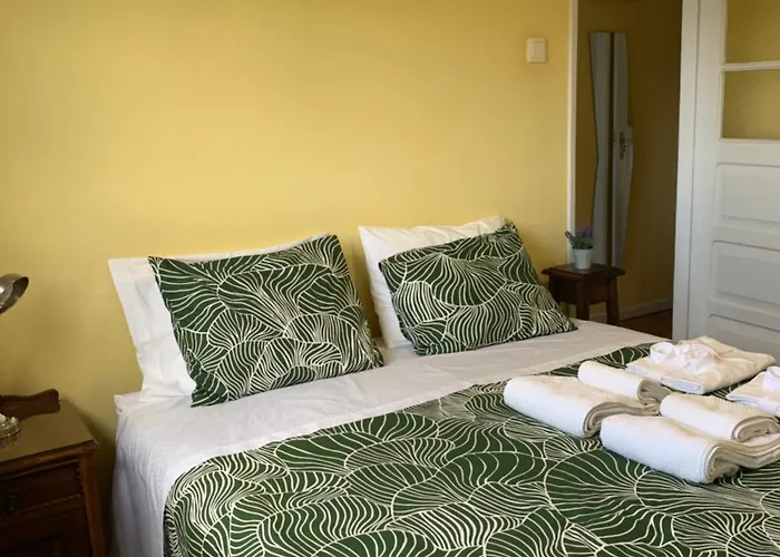 Casa Do Carvalhal - Natureza No Centro Da Cidade Casa de Campo *